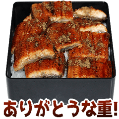 年中使えるうなぎ