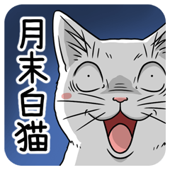 月末白猫
