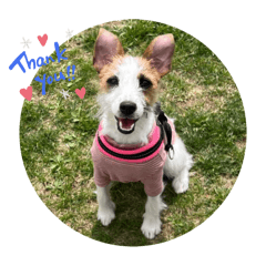 ラテっちょスタンプ2