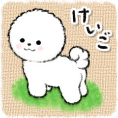 ビションフリーゼ★敬語★カラフル