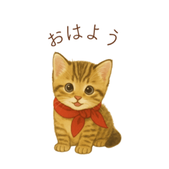 子猫のとらの日常スタンプ