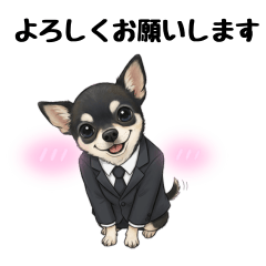 毒舌チワワ課長の働く日常