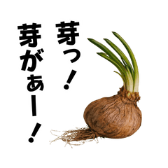 冷蔵庫に残された野菜たちとキュウリの叫び