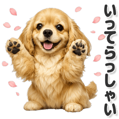 毎日使える アメリカンコッカースパニエル