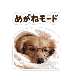 眼鏡ピース