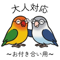 大人のカラフルボタンインコ[お付合用]v1