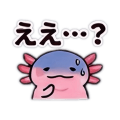 使えるウーパーhelpful Wooper