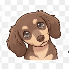 Doxie Dachshund