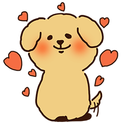 トイプードルのまめ