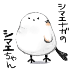 シマエナガのシマエちゃん