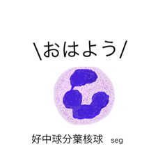 血液細胞part1 レギュラーメンバー