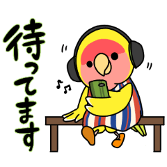 にぎやかインコ達も敬語を使う