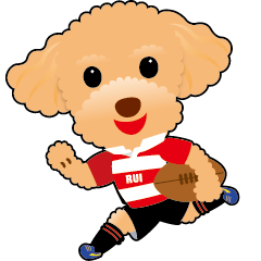 トイ・プードル塁くん「ラグビーの秋」