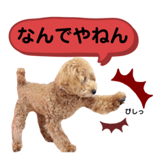 大人になったもなたんスタンプ