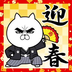 目ヂカラ☆にゃんこ【2020正月・年末年始】