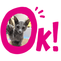 ロシアンちゃん