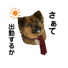 ちろ・ころ・ちびのスタンプ