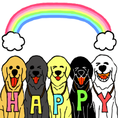 レトリバー大好き３