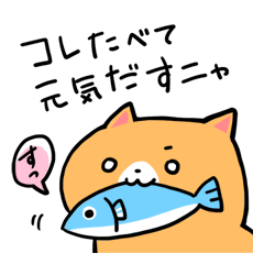 今日もワンニャン生活