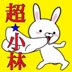 超★小林なウサギ