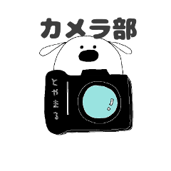 とやまるカメラマン