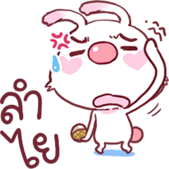 nayoyona rabbit All Star