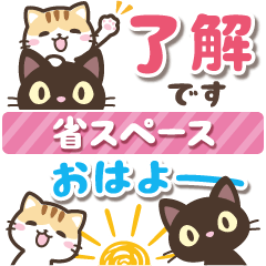 クロときどきミケ♡省スペース