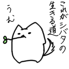 ぷにいぬ シバタさん