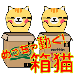 めっちゃ動く！箱猫スタンプ