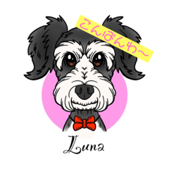 鳥、犬、ハムスター