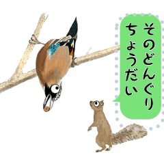 ちょっとリアルな野鳥スタンプ