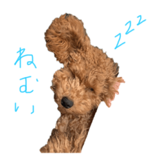 ラムちゃん♪♪