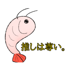 推しが尊すぎるえび。