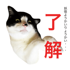 ねこやしき②feat.めめ