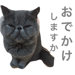 こんにちは、ベスです