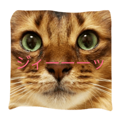 しまじろうのつぶやき