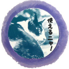 使えるニャンズ