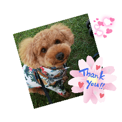 ポコすたんぷ#10