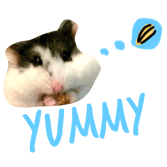 癒し系ニコちゃんとおまぬけなこうしくん