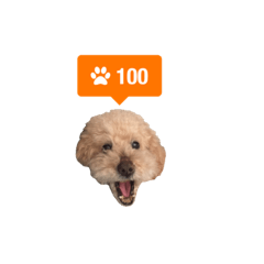 チョコとマロンと時々リーナ