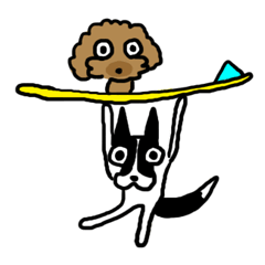 海とアンジュのごあいさつ