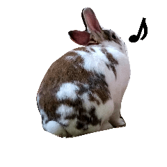 うさぎのメルお2