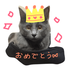 サシャのゆる〜いスタンプ