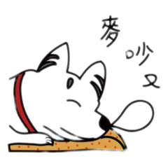 jimmy_20211112231413