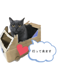 マリアージュメリッサ看板ネコ( ΦωΦ )