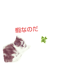 背景が透明の日常スタンプ