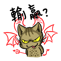 Bigdog's life with a tabby cat