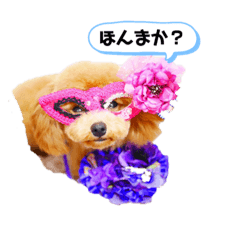 むぎだよ❣️No.2