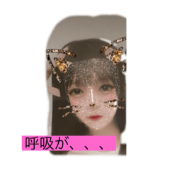 ねねっちと愉快な仲間たち