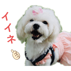 さんちゃん　すたんぷ